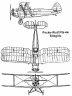 stieglitz_3v.jpg 